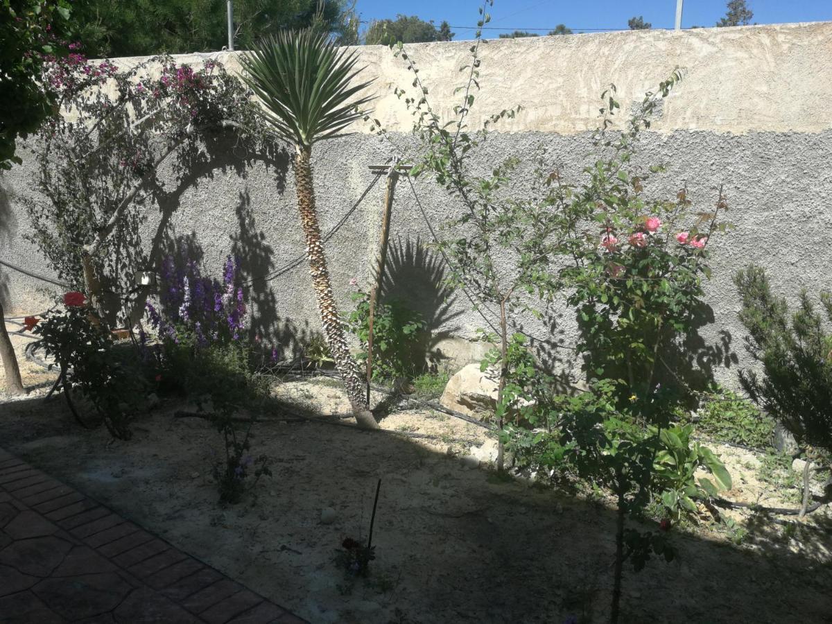 Finca San Diego, Villa Entera Para Ti Vallonga Екстериор снимка